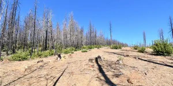 0 Bald Rock Road