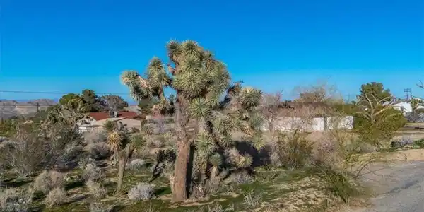60432 Latham Trail