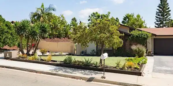 1388 PEACOCK BLVD.