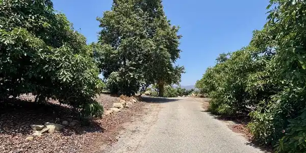0 Hall Road