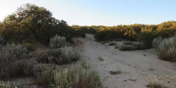 109.57 ACRES Highway 94