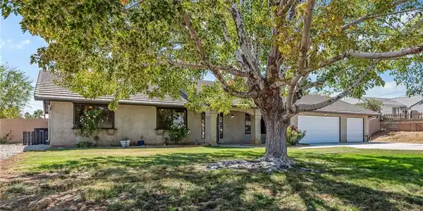 17805 Walnut