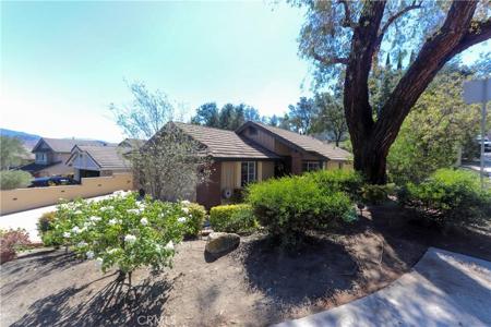 19316 Sycamore Glen