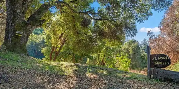 15380 Stetson