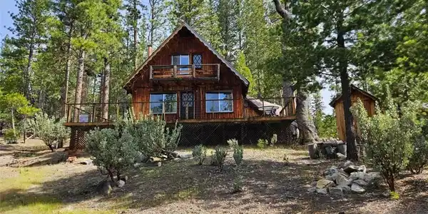 46336 Silvertip