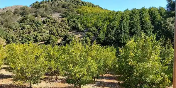 3 Via Vaquero