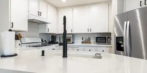 7336 Mission Dam Ter