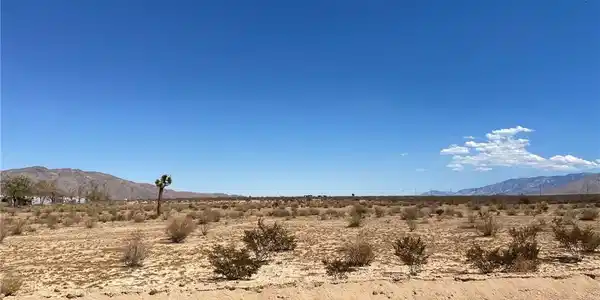 0 Tujunga