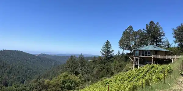 351 Canyon Vista