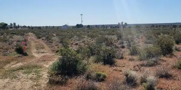 0 Vac/Vic Pb Hwy/184 Ste