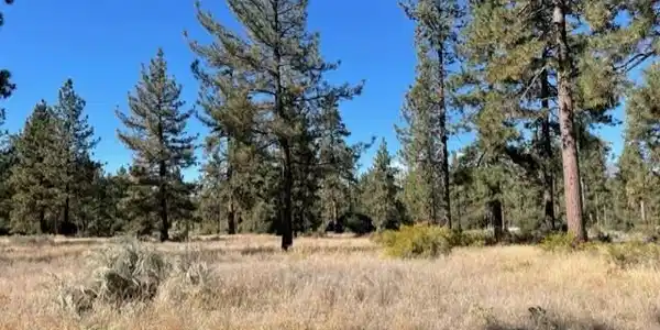 Lot 18 Pyramid Peak Road