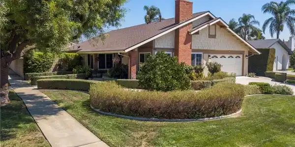 9956 Hemlock Street