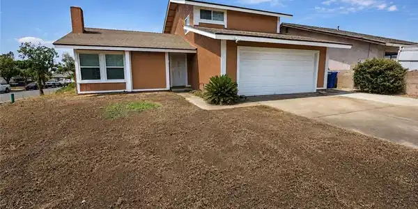 7370 Palm