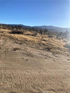 1 White Fox Trail
