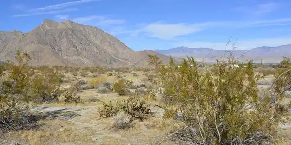 Palm Canyon Lot 276
