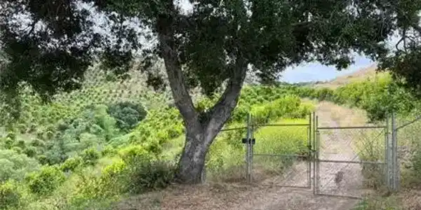 0 AVENNIDA TIERRA 2 LOTS
