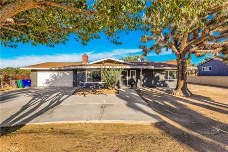 8053 Amador