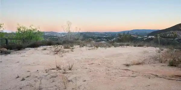 6 Vista Del Bosque