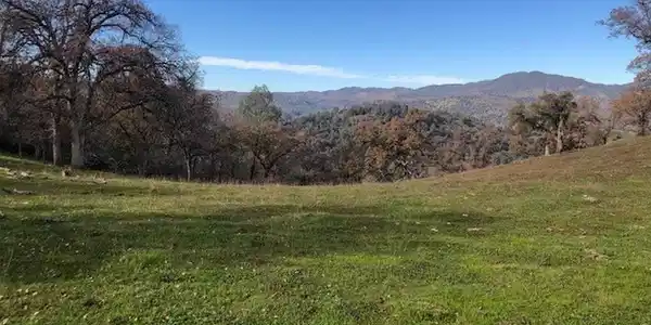 157 Acres Mountain View Peak Road