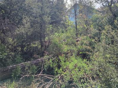 53309 Road 432
