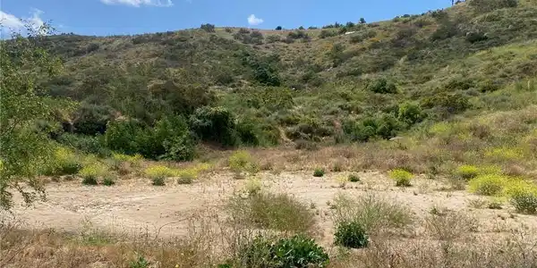 0 Camino De