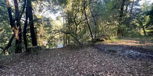 559 Patrol Road