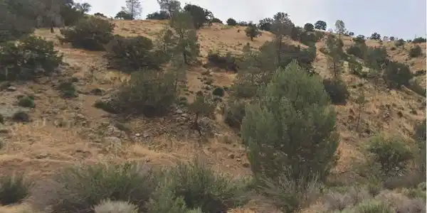 35000 Sand Canyon Road
