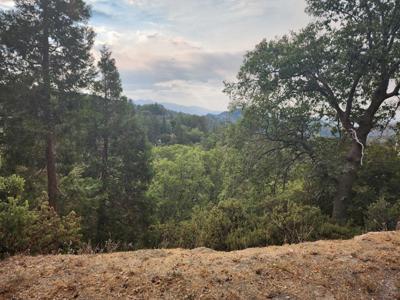 0 Evergreen Lane