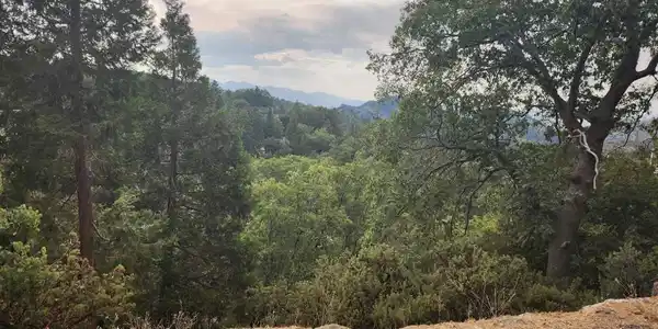 0 Evergreen Lane