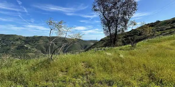 12500 Pacific View Drive