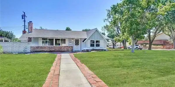 38734 Sage Tree