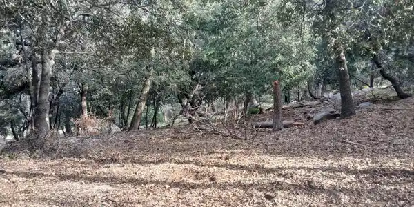 0 Alder Creek Road