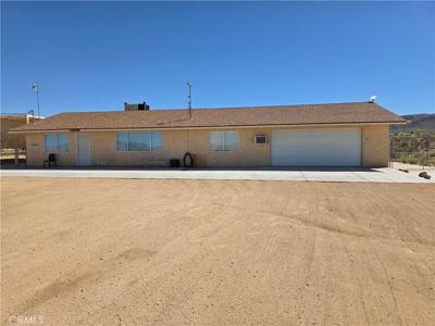 51063 Joshua Tree