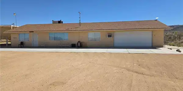 51063 Joshua Tree