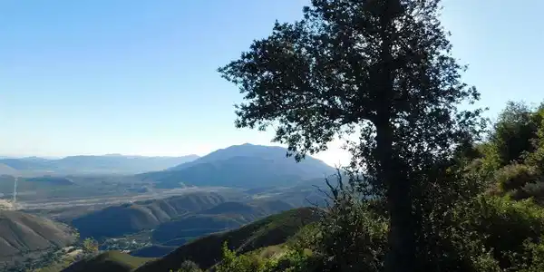 1 Mountain View