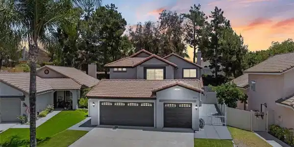 24108 Whistling Swan