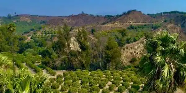 0 Foothill Road