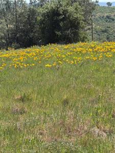 0 Round Valley Ranch