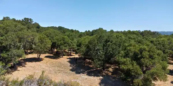 4 Holding Field Run