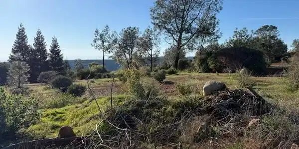 4450 Sierra Del Sol