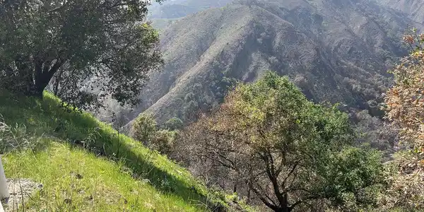 1785 Alta Mura Rd Road