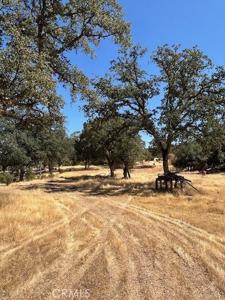 17055 E. Hwy 20