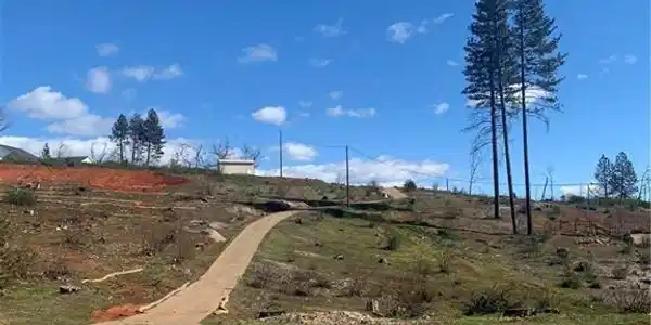 1905 Paige Lane