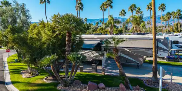 69411 Ramon Rd #226