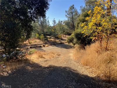 4788 Yarrington Court