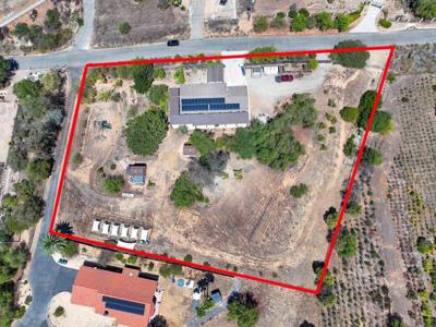 10019 Covey Lane
