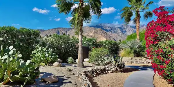 300 W Pico Road