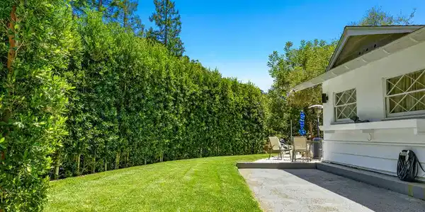 2485 Benedict Canyon Drive