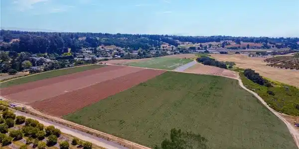 1680 Los Berros Road
