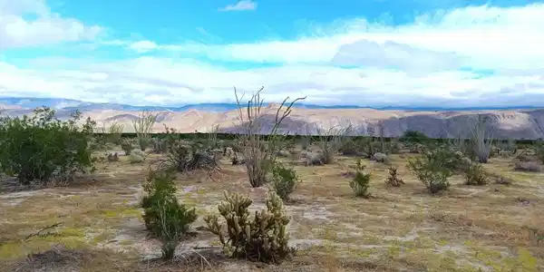Indian Head Ranch Rd Lot 65
